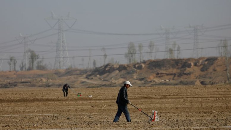 Produção de milho da China cresce 4,6% em 2021