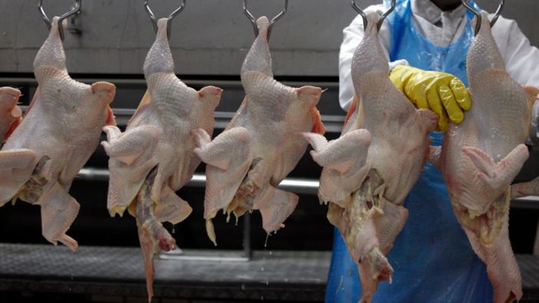 Abates de frango e suínos atingem recordes no 3º tri, diz IBGE; bovinos têm queda