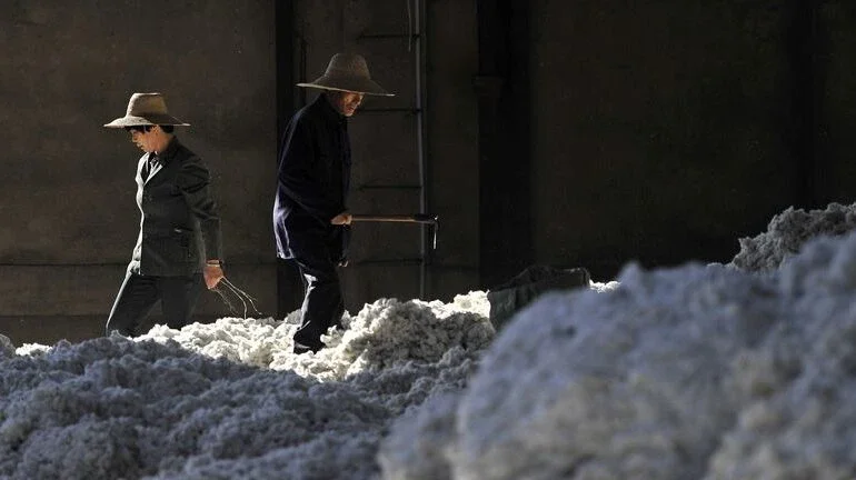 Produção de algodão da China cai 3% em 2021, para 5,73 mi t