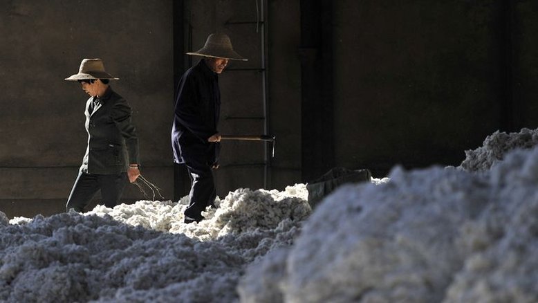 Produção de algodão da China cai 3% em 2021, para 5,73 mi t