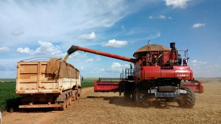 Valor da produção agropecuária do Brasil fechará 2021 com alta de 10%, diz governo