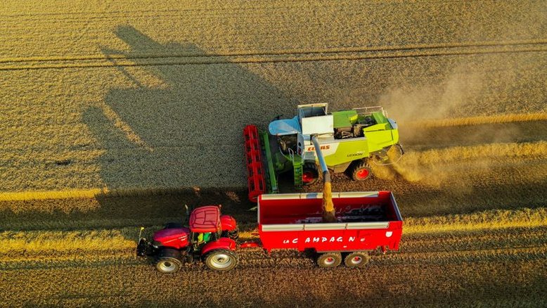 Strategie Grains aumenta previsão de exportação de trigo da UE em mais de 1 mi t