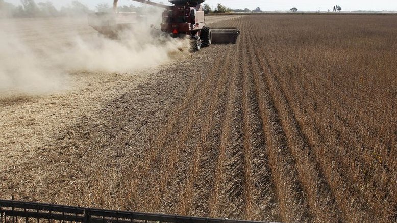 Cinturão agrícola da Argentina deve enfrentar altas temperaturas, diz bolsa