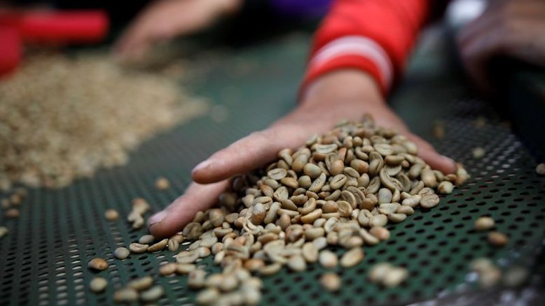 Estoques de café verde avançam nos EUA após mínima de 5 anos