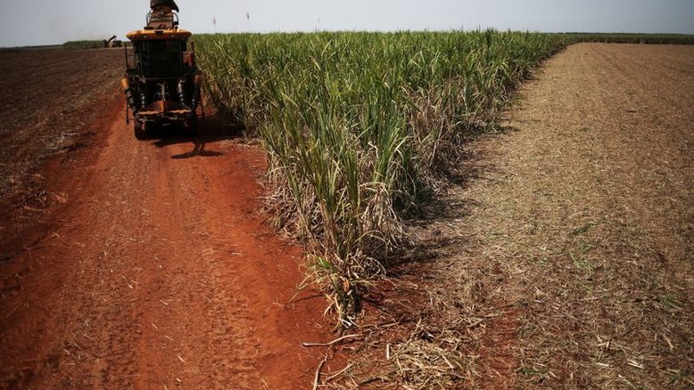 Usinas no Brasil reduzem alguma produção de açúcar para focar no etanol, diz Datagro