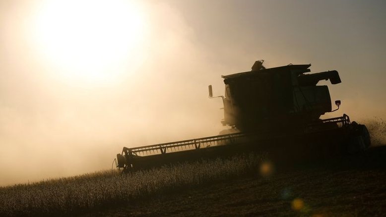 Colheita de soja no RS atinge 96% das áreas; plantio de trigo tem início tímido