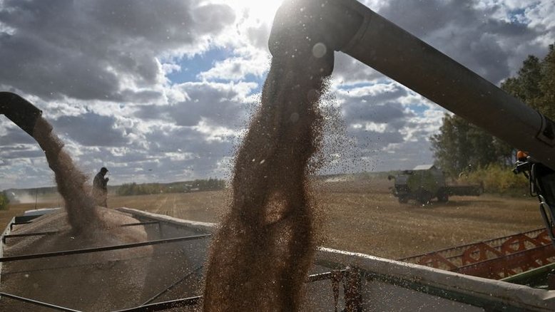 Taxa de exportação do trigo da Rússia deve ter queda brusca no início de junho