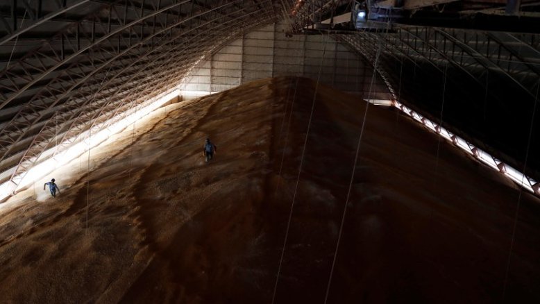 Sul-coreana MFG compra 136 mil t de milho, dizem operadores