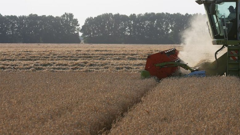 Produção de grãos da Ucrânia deve avançar 17% e bater recorde em 2021, diz governo