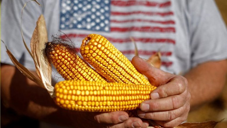 Preços do milho caem em Chicago com realização de lucro, mas fecham semana em alta de 12%