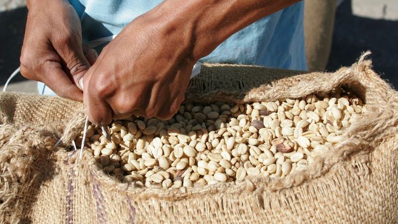 Açúcar bruto e café arábica fecham em queda com pressão de vendas generalizadas
