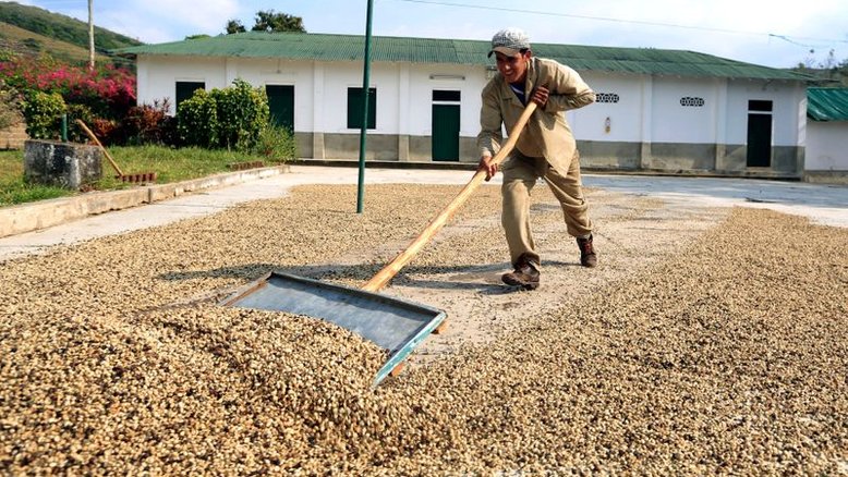 Exportações de café da Colômbia recuam 11% ante junho de 2020