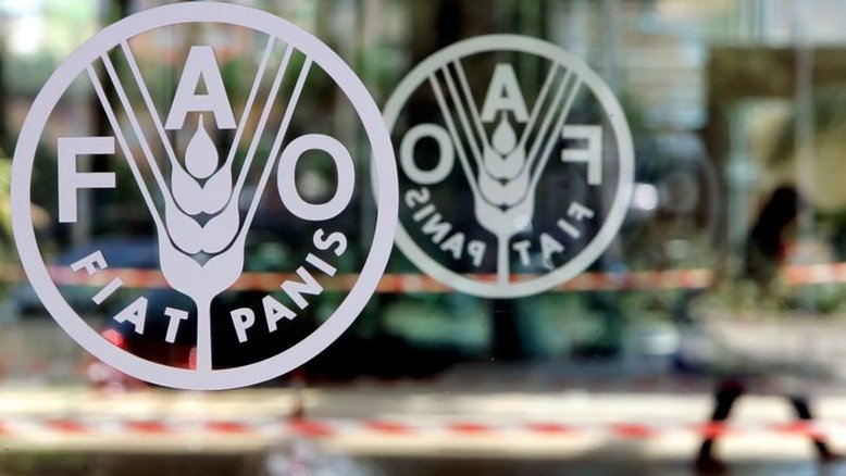 Índice mundial de preços de alimentos recua pela 1ª vez em um ano em junho, diz FAO