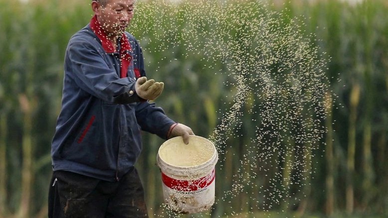 China quer elevar em 40% safra de soja até 2025 para depender menos de importação