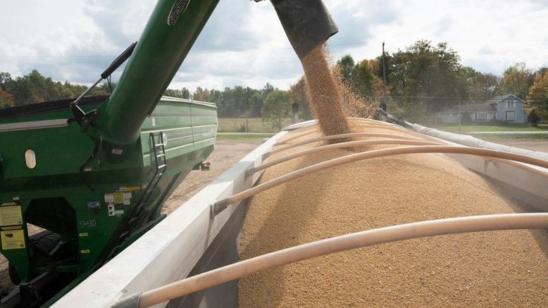Colheita de soja atinge 4% da área no Paraná; plantio de milho safrinha chega a 2%