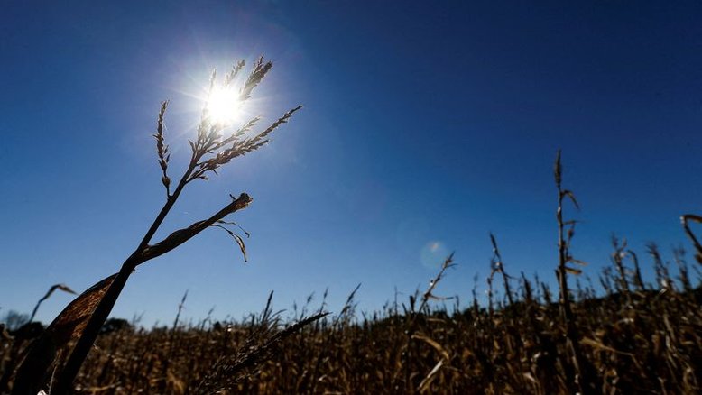 Chuvas na Argentina limitam perdas de safra por seca, dizem especialistas