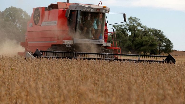 Embarque de soja do Brasil pode ser recorde neste mês após janeiro abaixo do esperado