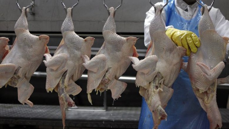 Exportação de frango do Brasil sobe 20% em janeiro; Emirados Árabes quase dobram compras