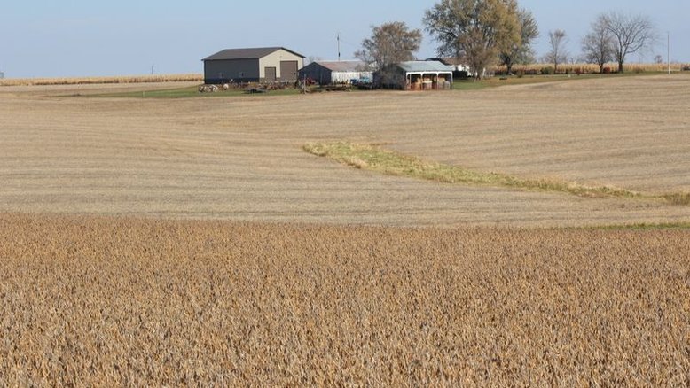 China busca melhorar capacidade de produção de soja e outras oleaginosas