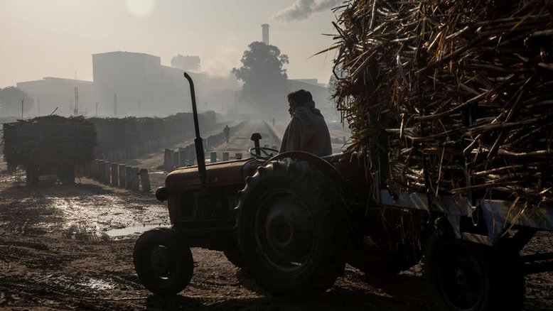 Produção de açúcar da Índia aumenta 15% em 2021/22, diz associação