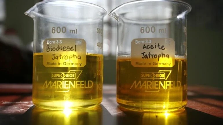 Setor de biodiesel e parlamentares buscam ministro do MME por aumento de mistura no Brasil