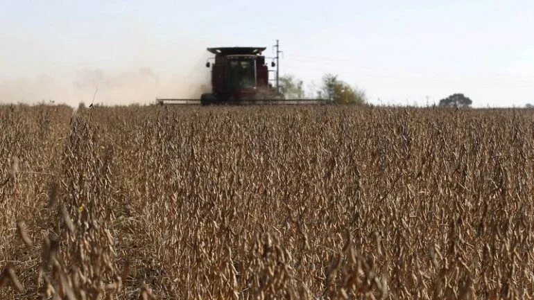 Bolsa de Cereais reduz projeção para área de trigo 22/23 na Argentina