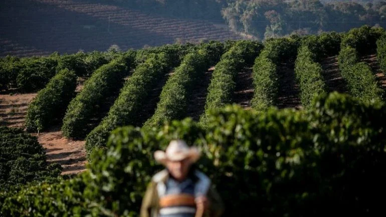 Café arábica cai 2,5% na ICE, açúcar bruto também fecha em baixa