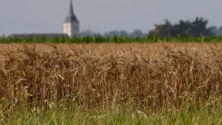 Agricultores franceses e italianos contam custos por tempestades e secas
