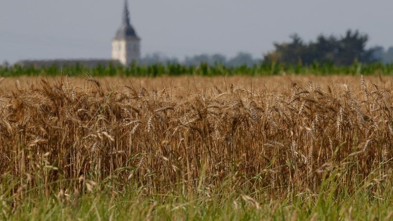 Agricultores franceses e italianos contam custos por tempestades e secas