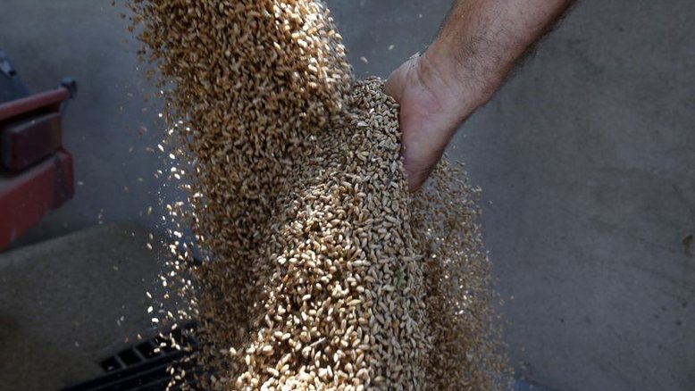 Ataque russo destrói armazéns em terminal de commodities ucraniano
