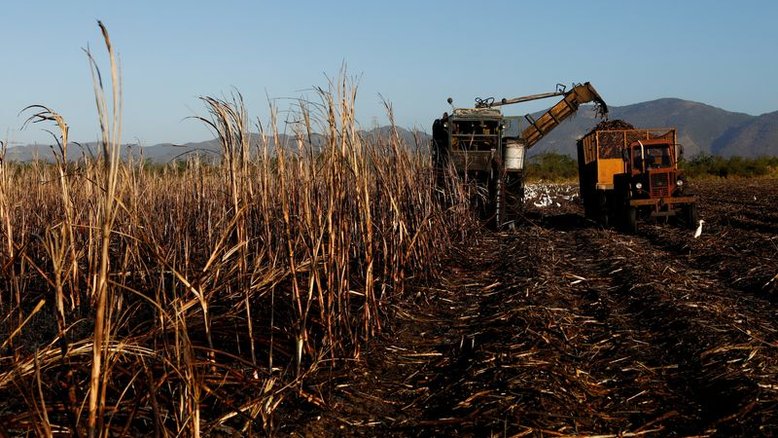 Estoques finais de açúcar dos EUA são suficientes apenas para 7,6% da demanda, diz USDA