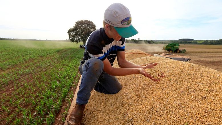 Soja volta a superar R$200 a saca no mercado brasileiro, diz Cepea