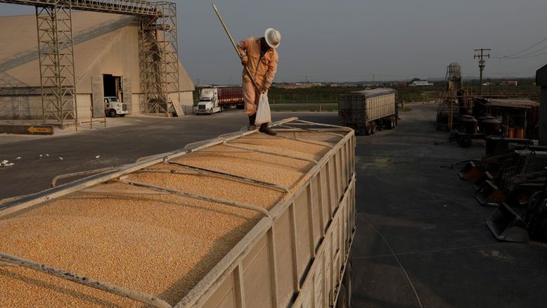 Vendas de soja 22/23 de MT avançam à 24,4% com incertezas de oferta e insumos, diz Imea