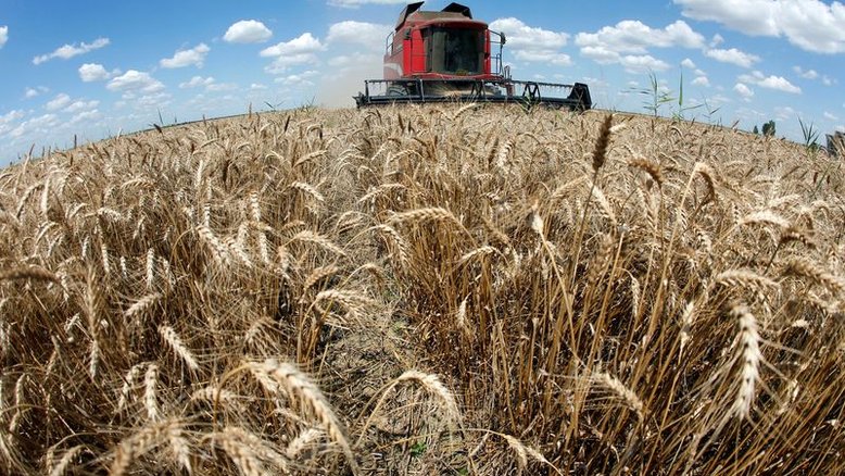 Trigo sobe em Chicago após ataque russo em porto ucraniano; soja despenca