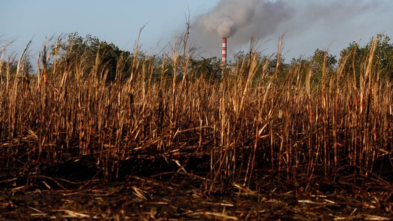 Entrega de açúcar bruto na ICE é estimada em 9.897 lotes, dizem operadores