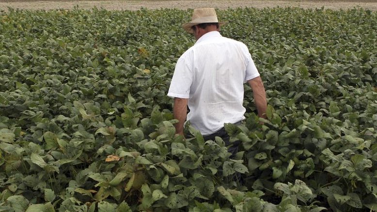 SLC Agrícola já adquiriu 84% do cloreto de potássio para safra 2022/23
