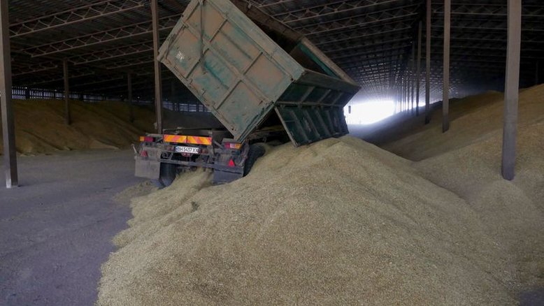 Ucrânia colhe primeiro milhão de toneladas de grãos da safra 2022, diz ministério