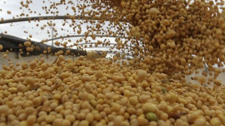 Abiove reduz previsão de exportação de soja do Brasil em 2022; eleva processamento