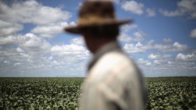 Anec eleva projeções de exportação de soja e milho do Brasil em julho