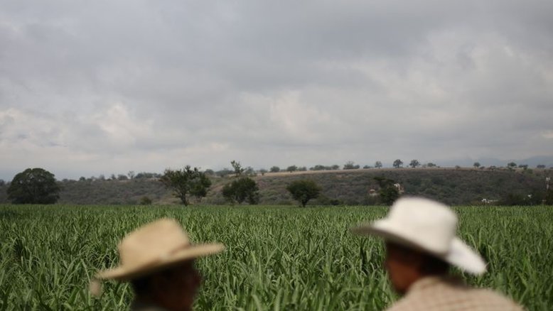 EUA aumentam projeção de importação de açúcar em quase 500 mil t curtas