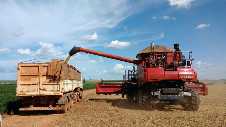 Exportações do agronegócio do Brasil somam US$ 79,3 bi no 1º semestre e batem recorde