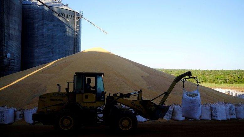 Colheita de milho 2ª safra atinge 53,4% da área no Brasil, diz Pátria AgroNegócios