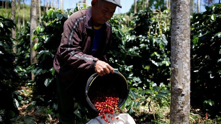 Café arábica avança na ICE após mínima de 9 meses; açúcar também sobe