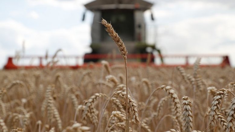 Exportações agrícolas da Ucrânia somam 2,5 mi t em junho, diz ministro