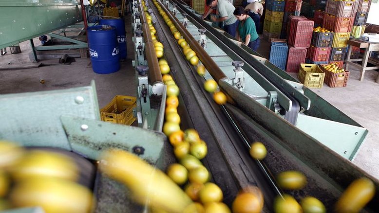 Exportação de suco de laranja do Brasil fecha safra 2021/22 com alta de 5,33%