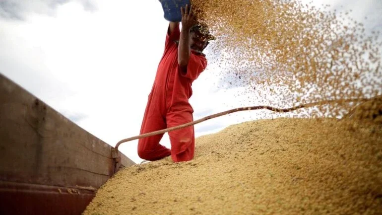 Brasil deve exportar 77,2 mi t de soja no ano e atingir 91,5 mi t em 2023, diz Safras