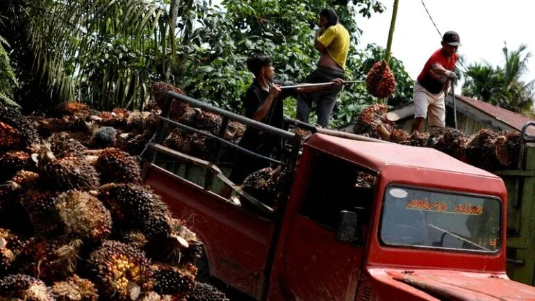 Indonésia realiza teste de estrada para biodiesel com 40% de óleo de palma