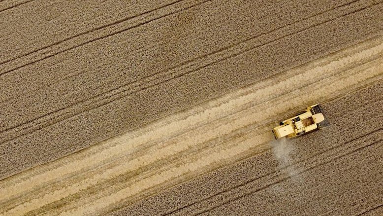 Paraná eleva projeção para safra de trigo; plantio chega à reta final no RS