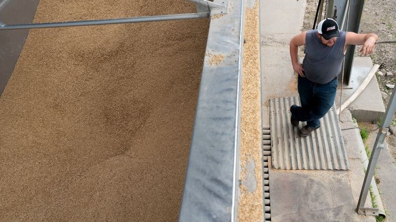 Avaliações de soja dos EUA aumentam para 60% entre boa/excelente, diz USDA