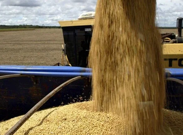 Vendas de soja 2022/23 do Brasil atingem 17,3% do total esperado, diz Safras